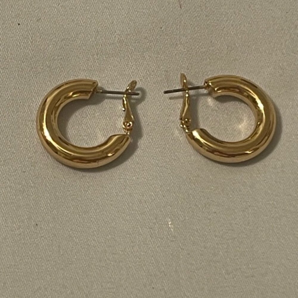 Elegant Gold Hoop Earrings